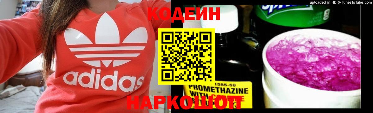 Ишим  Codein Purple Drank  Вход с VPN 