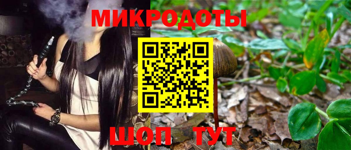 Галлюциногенные грибы Psilocybe  где купить   Ишим  Вход с VPN 